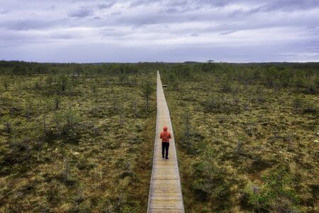 Viru Bog on a cloudy morning, east of Tallinn, Estonia, taken in May 2019の写真素材