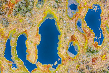 Viru Bog on a cloudy morning, east of Tallinn, Estonia, taken in May 2019