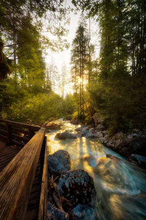 Magic forest at Hintersee in Berchtesgarden Alps, Germany, post processed using exposure bracketing