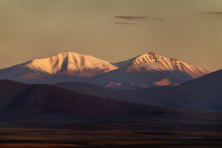 Altiplano in Bolivia, South Americaの写真素材