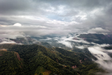 Mountains in the Morning in Rain Forest Bolivia