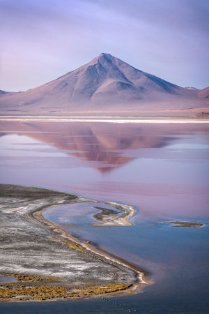 Laguna Colorada in Lipez Sur Boliviaの写真素材