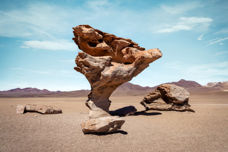 Rock Tree Arbol de Piedra in Boliviaの写真素材