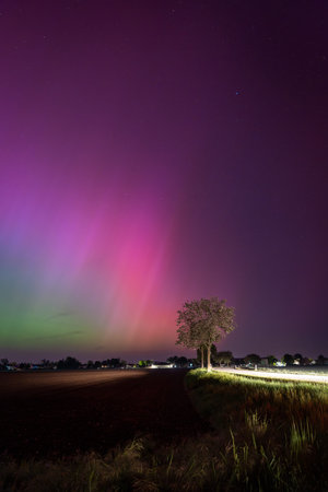 Northern Lights over Fields and Treesの写真素材