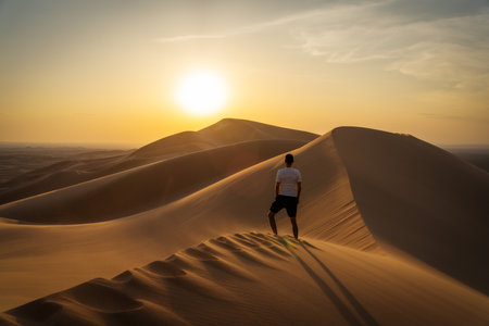 Gobi Desert in Central Mongoliaの写真素材