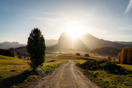 Alpe di Siusi in the Italian Dolomitesの写真素材