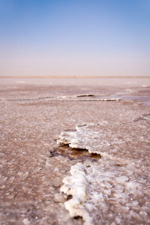 Dry Pink Salt Lake in Tunisiaの写真素材