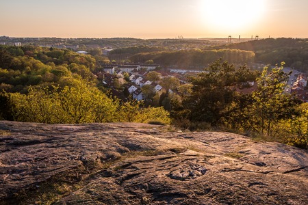 beautiful sunset at botanic gardenの写真素材