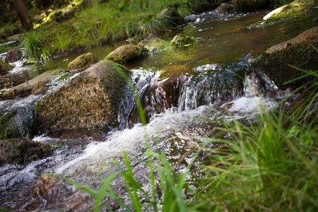 Beautiful german forest with a little streamの写真素材