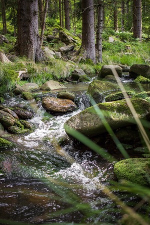 Beautiful german forest with a little streamの写真素材