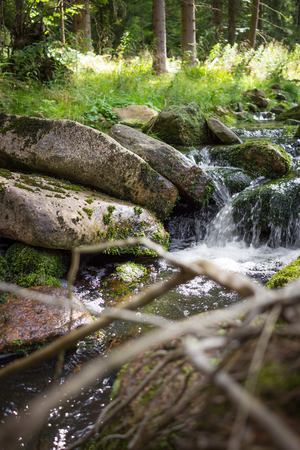 Beautiful german forest with a little streamの写真素材