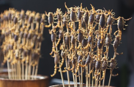Fried scorpions as snack at streedfood market - Beijing, China.の写真素材