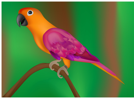 Beautiful colorful parrot on green background- vector illustrationのイラスト素材