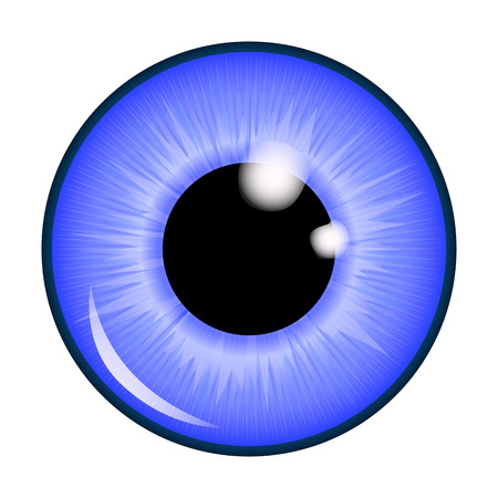 The pupil of the eye, eye ball. Realistic vector illustration isolated on white background.のイラスト素材