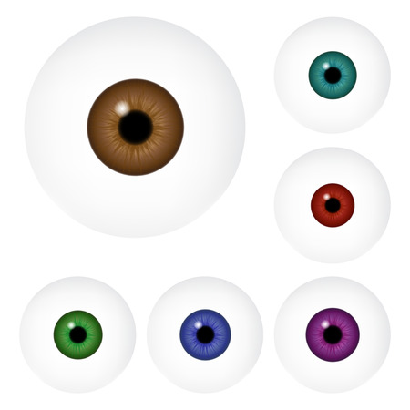 Image of realistic human eye ball with colorful pupil, iris. Vector illustration isolated on white background.のイラスト素材