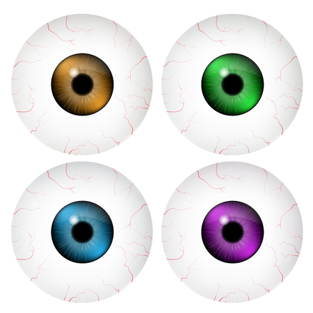 Image of realistic human eye ball with colorful pupil, iris. Vector illustration isolated on white background.のイラスト素材