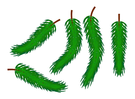 Christmas fir branch, cartoon design for card, icon, symbol. Winter vector illustration isolated on white background.のイラスト素材