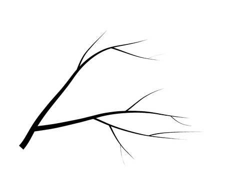 bare branch tree silhouette vector symbol icon design. Beautiful illustration isolated on white backgroundのイラスト素材