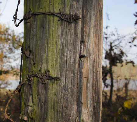 old fence with barbed wire close up photo. Beautiful picture, background, wallpaperの写真素材