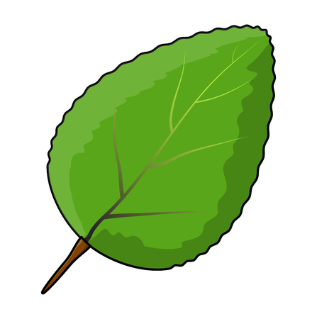green leaf  vector symbol icon design. Beautiful illustration isolated on white backgroundのイラスト素材