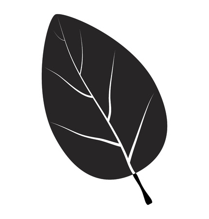 leaf silhouette vector symbol icon design. Beautiful illustration isolated on white backgroundのイラスト素材