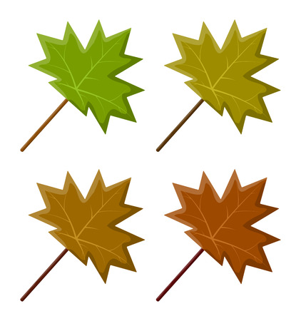 maple leaf set vector symbol icon design. Beautiful illustration isolated on white backgroundのイラスト素材