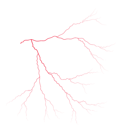 vein blood system vector symbol icon design. Beautiful illustration isolated on white backgroundのイラスト素材