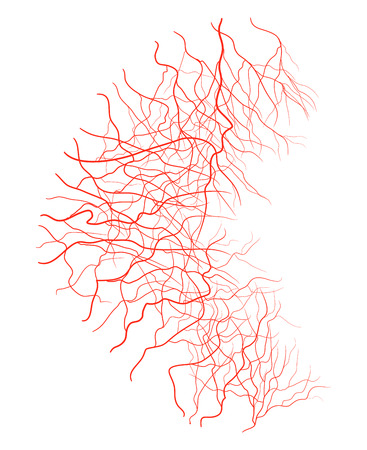 eye vein vector symbol icon design. Beautiful illustration isolated on white backgroundのイラスト素材