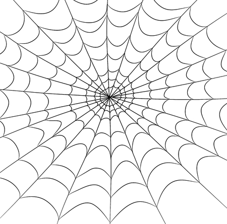 spider web vector symbol icon design. Beautiful illustration isolated on white backgroundのイラスト素材