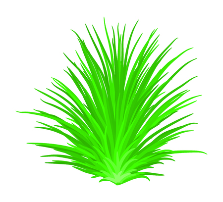 grass vector symbol icon design. Beautiful illustration isolated on white backgroundのイラスト素材