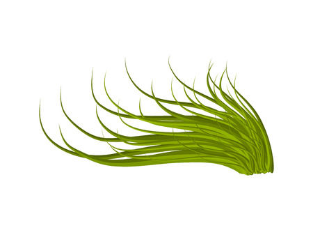 grass vector symbol icon design. Beautiful illustration isolated on white backgroundのイラスト素材
