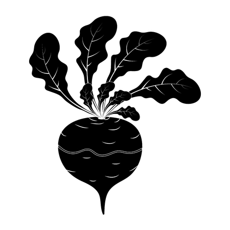 silhouette turnip cartoon icon design isolated on white backgroundのイラスト素材