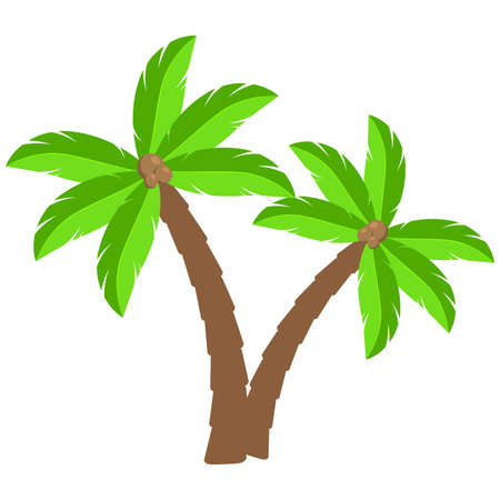 Tropical palm trees cartoon illustration.Two curved coco palm isolated on white.  Exotic palmtree illustration. Paradise plants symbol clipart.Design element for vacations leaflet or advert.のイラスト素材