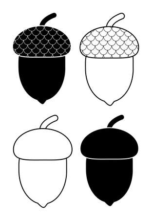 Acorn outlined and silhouetted autumnal design element set isolated on white. Illustrationof oak tree fruits with caps.  Black and white oak acorns with shells clip art for autumn invitation.のイラスト素材