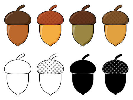 Acorn autumn drawing eps10 set. Oak nut cartoon illustration isolated on white.  Autumnal clip art with  oak tree fruits with cap. Oak acorns with shell seasonal graphic. Color, silhouette and outlineのイラスト素材