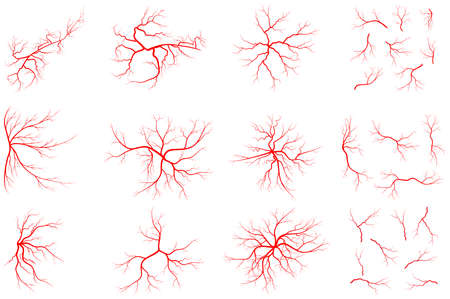 Vein set illustration isolated on white background. Collection of human blood system graphic. Red vessel, arteries design. Anatomical icon group. Vector shape of artery. Eps 10 abstract symbols.のイラスト素材