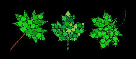 Abstract green maple leaf. Spring foliage made with dots. Decorative dotted canadian symbol set. Great for elegant and decorative greeting or celebration card. Vector illustration isolated on black.のイラスト素材