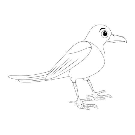 Magpie bird outline illustration set . Standing crow animal ornithology design. Vector clip art isolated on white background.のイラスト素材