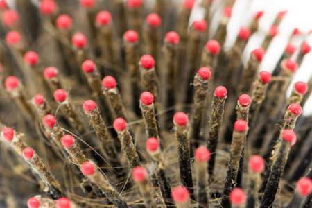 Close up view of a hair brush with hair