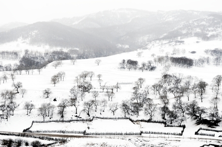 snow scene