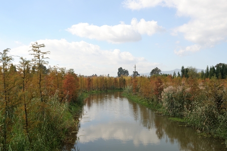 Dian Lake Wetlandの写真素材