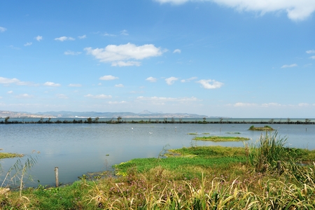 Dian Lake Wetlandの写真素材
