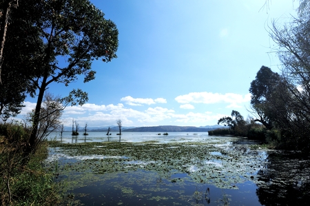 Dian Lake Wetlandの写真素材