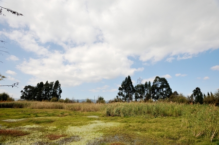 Dian Lake Wetlandの写真素材