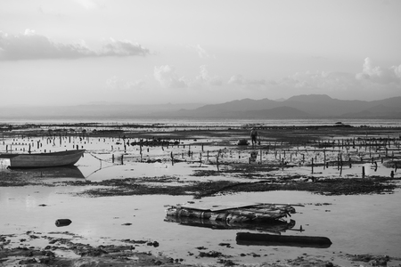 Quiet beach, black and whiteのeditorial素材