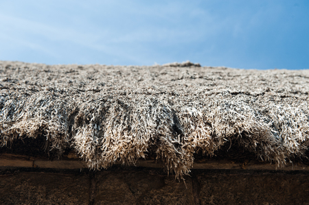 Straw roof on top of a buildingの写真素材