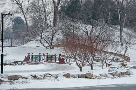 Winter scenery at parkの写真素材