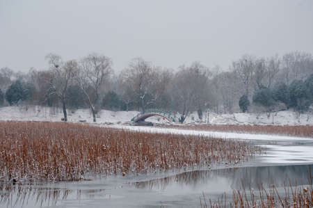 Snow scenery in the Summer Palaceのeditorial素材