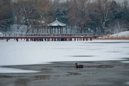 Summer Palace in the Snow sceneryのeditorial素材