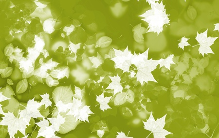 Green Fall - Autumn Theme - Fall Natural-Leafs Backgroundの写真素材